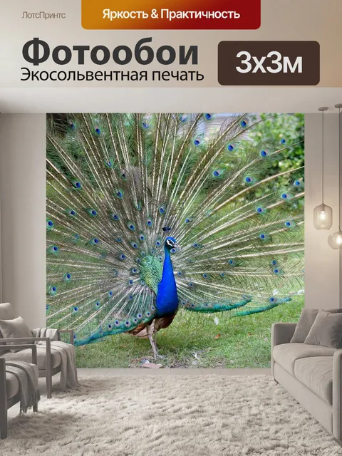 Фотообои Павлин
