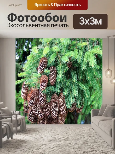 Фотообои Лес