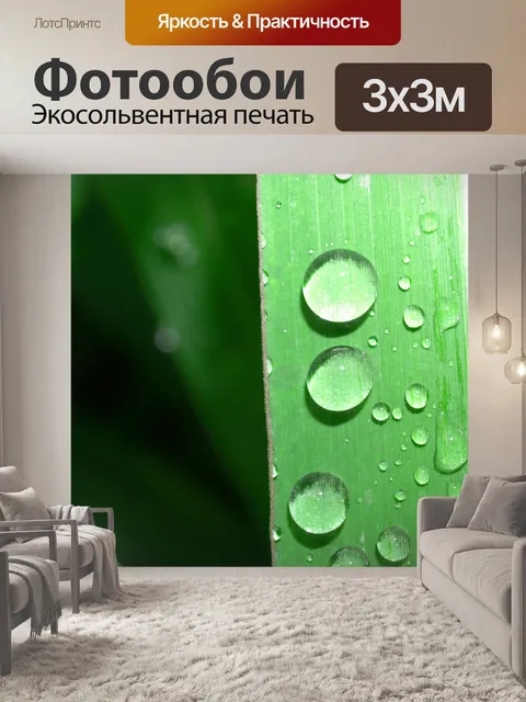 Фотообои Капля воды на листе