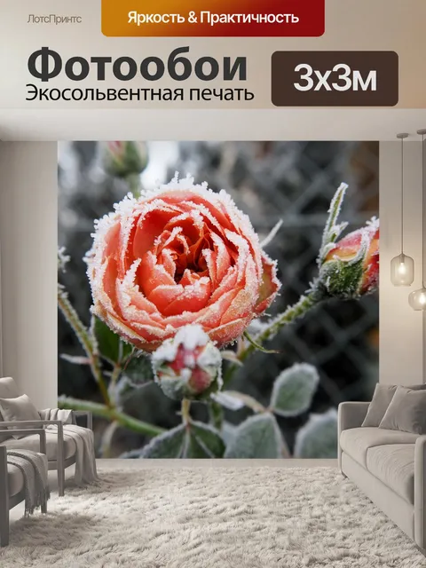 Фотообои Роза