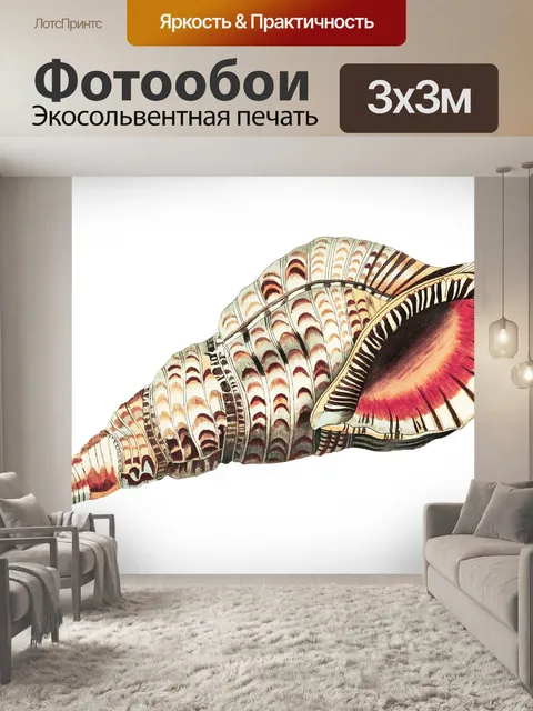 Фотообои Раковина улитка винтажное искусство