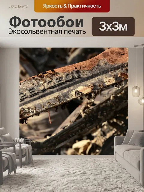 Фотообои Красивые разнообразные, автомобили