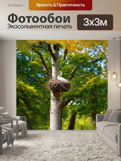Фотообои гнездо аиста на вершине высокого дерева