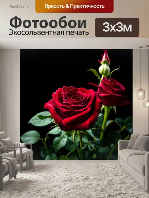 Фотообои розы в стиле тёмное фэнтези