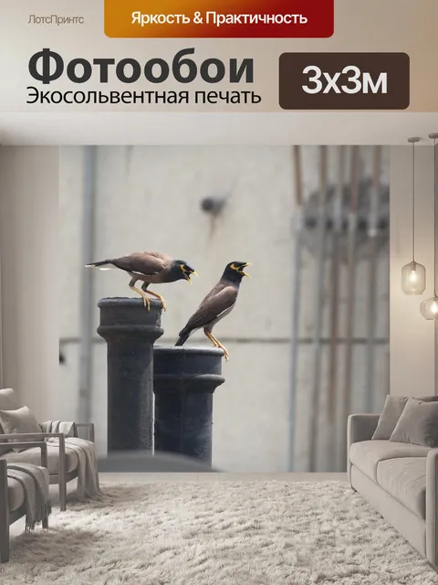 Фотообои Скворец