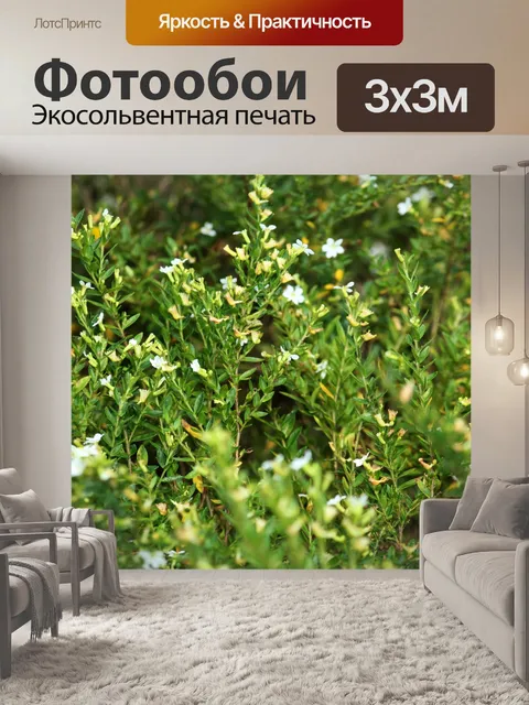 Фотообои белые цветы в саду