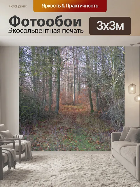 Фотообои Лес