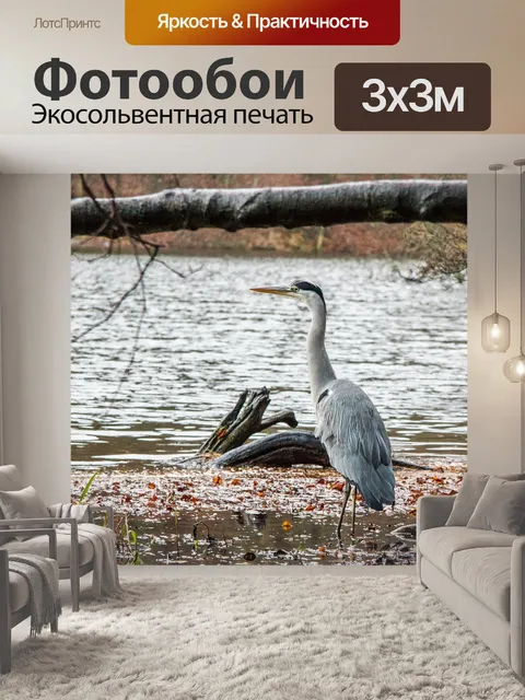 Фотообои Рыбаки