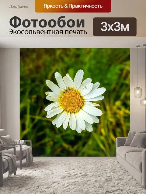 Фотообои Цветы