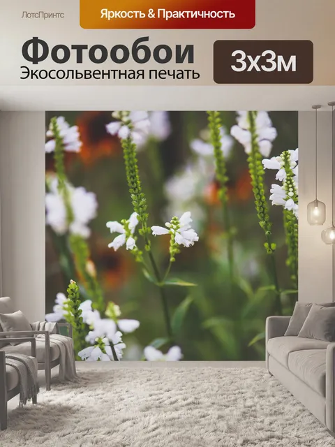 Фотообои Цветок