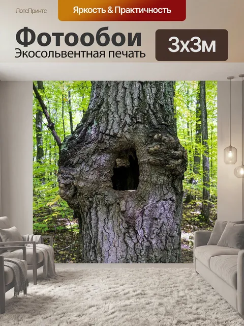 Фотообои Ствол дерева
