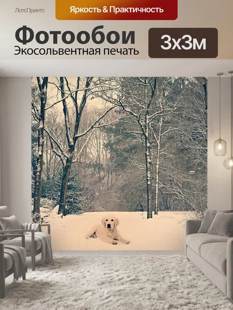 Фотообои Собака
