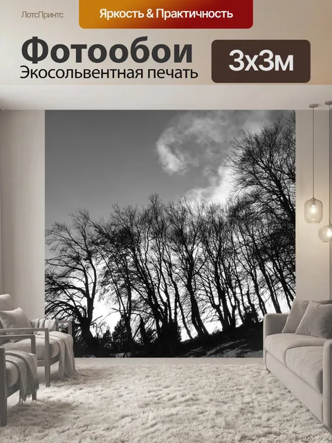 Фотообои Пейзажи