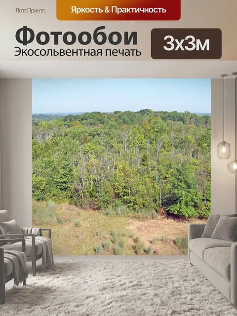 Фотообои Деревья в парке