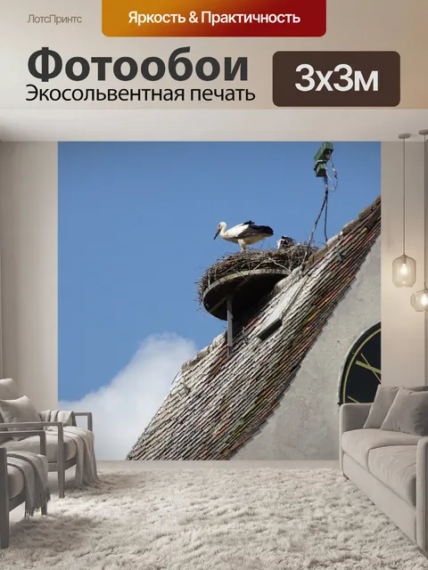 Фотообои Аист
