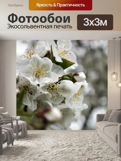 Фотообои Цветы