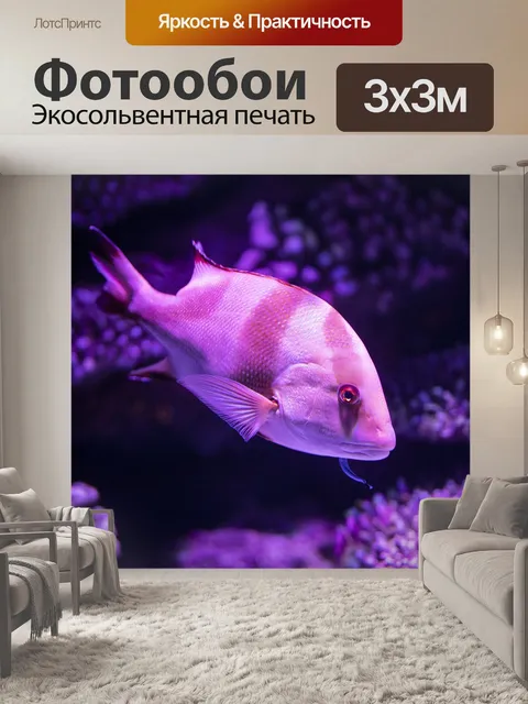Фотообои Рыба