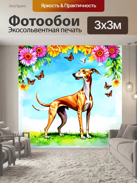 Фотообои борзая, играющая с бабочками под ясным голубым небом в солнечный летний день, окруженная пестрыми цветами