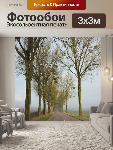 Фотообои Дорога