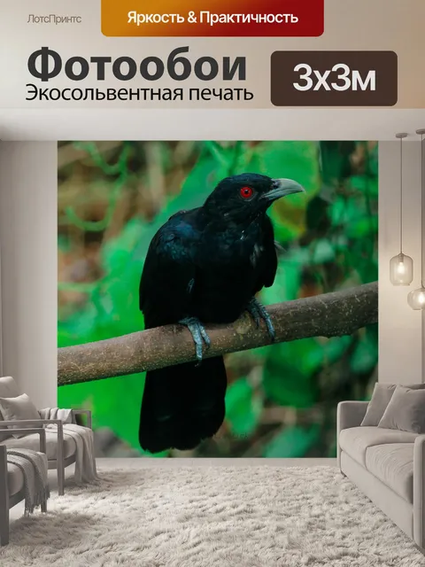 Фотообои Птицы