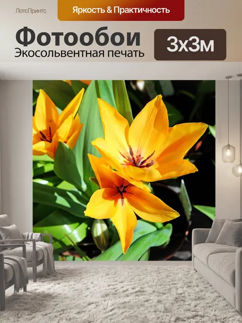 Фотообои Цветок