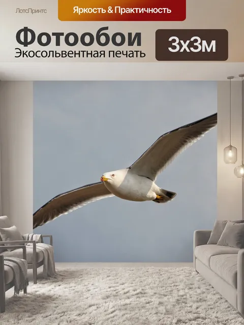 Фотообои Животное