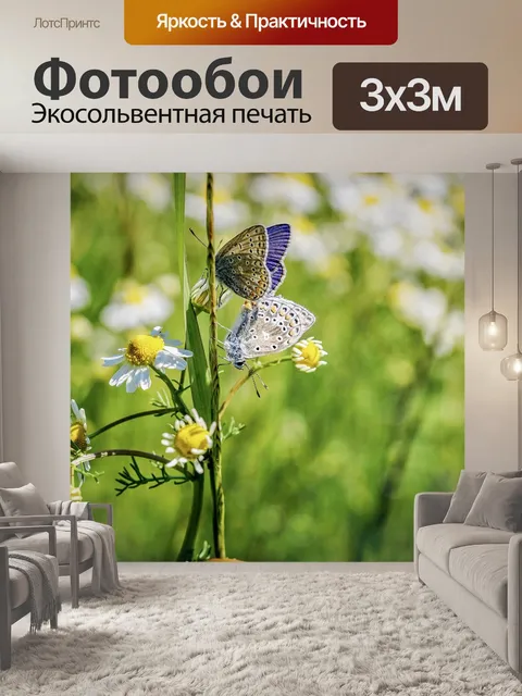 Фотообои Голубоватый