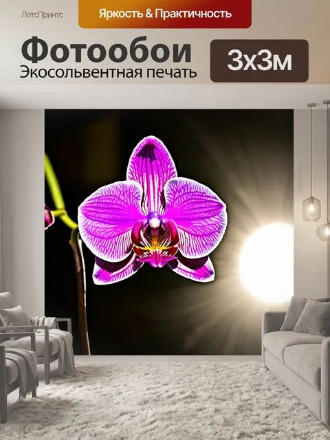 Фотообои орхидея на фоне светонот, создающих легкую дымку