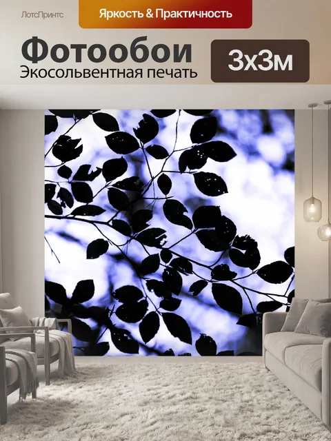 Фотообои Силуэт Листья