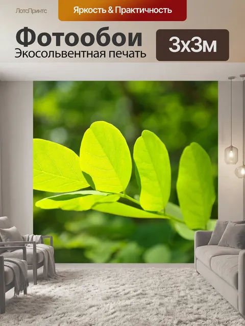 Фотообои Листья