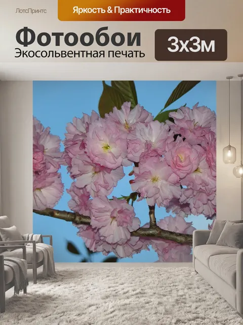 Фотообои Блум