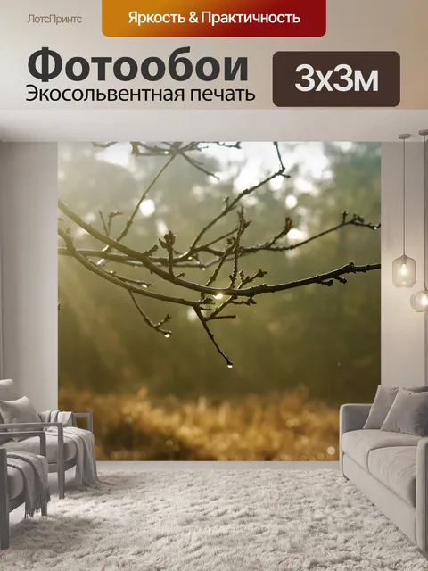 Фотообои Деревья