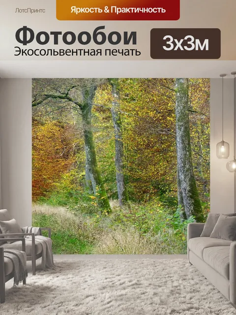Фотообои Лес