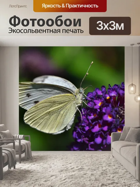 Фотообои Бабочка