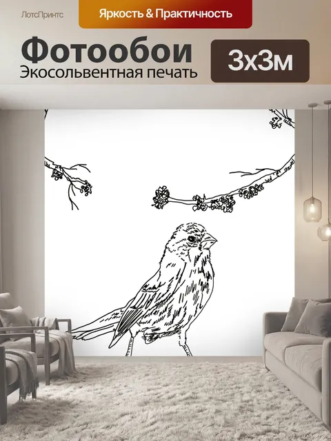 Фотообои Птица