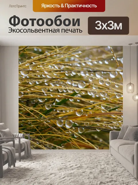 Фотообои Туман