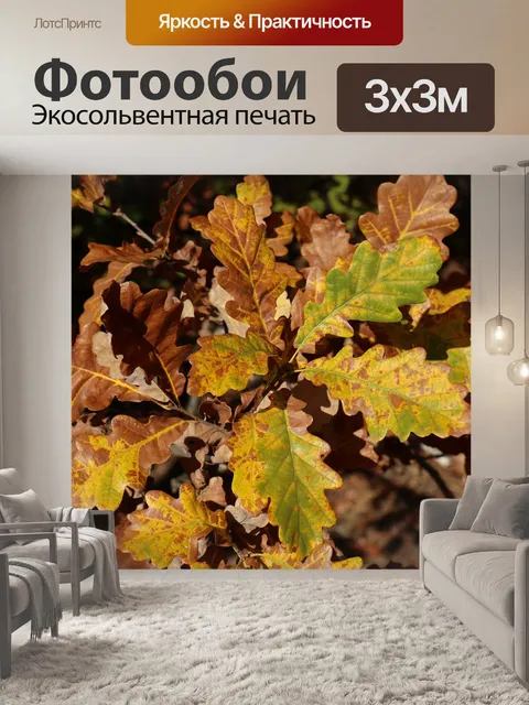 Фотообои Листья