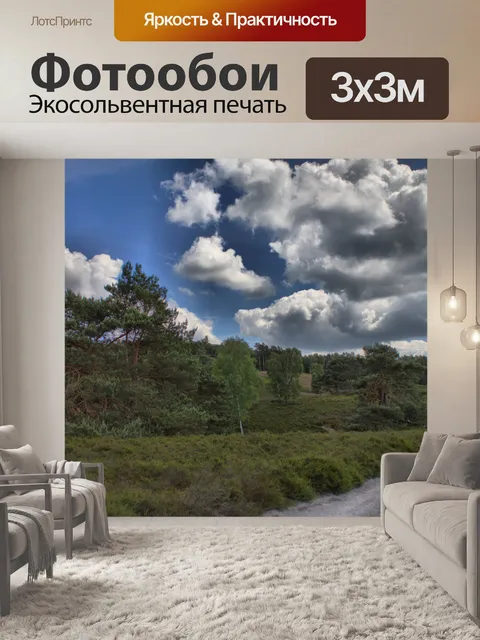 Фотообои Фон