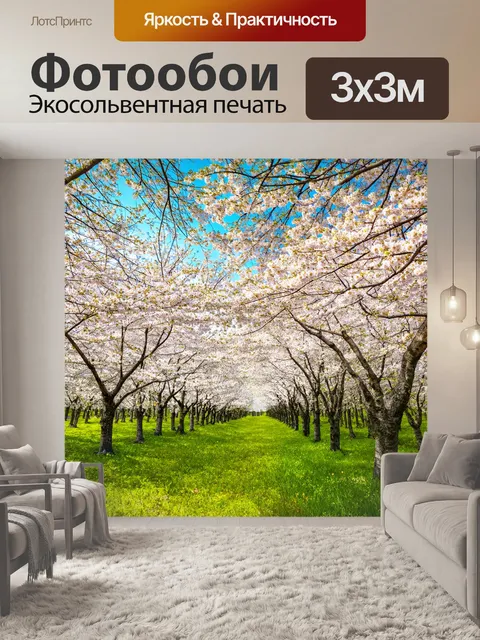 Фотообои вишнёвые деревья в цвету, свежесть весеннего утра