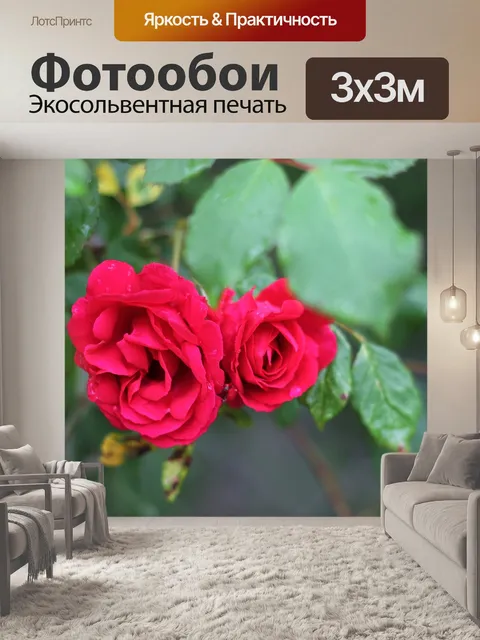 Фотообои Розы