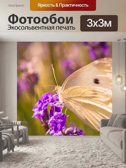 Фотообои Бабочка
