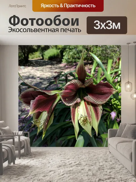 Фотообои Фиолетовые и зеленые орхидеи
