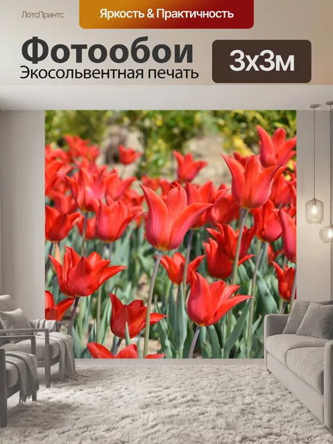 Фотообои Тюльпаны