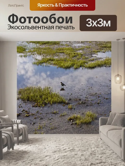 Фотообои Птица