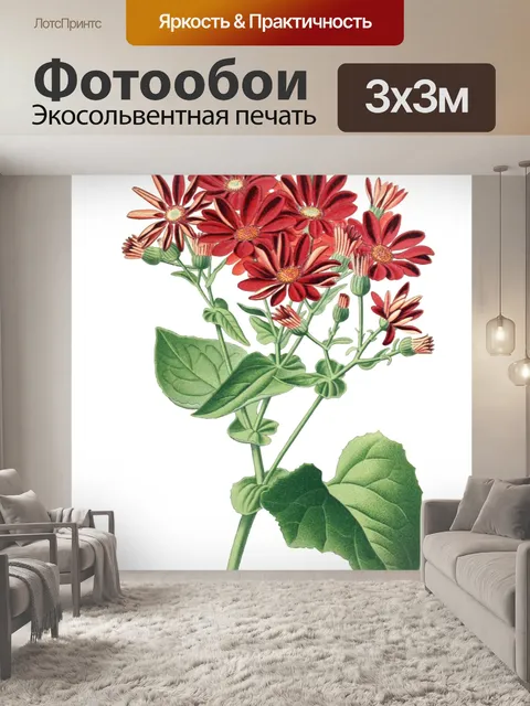 Фотообои Винтажные иллюстрации искусства цветы