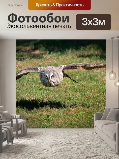 Фотообои Птица