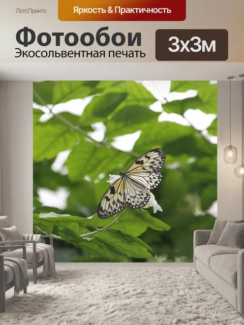 Фотообои Бабочка