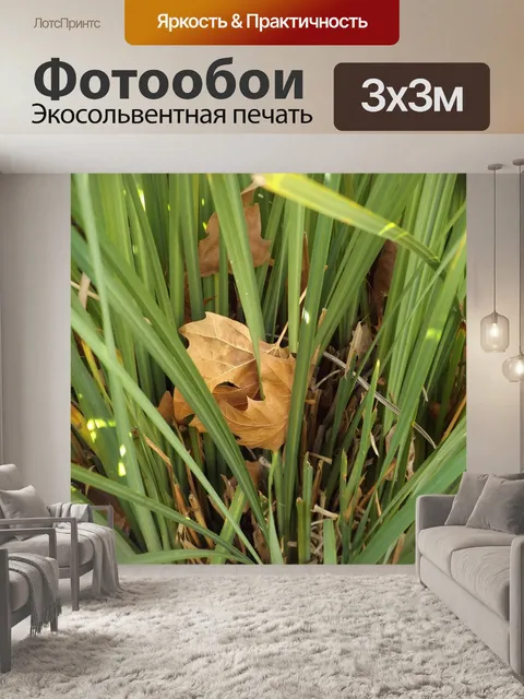Фотообои Листья