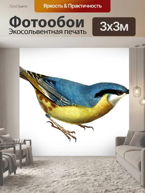 Фотообои Птица винтаж искусство старый