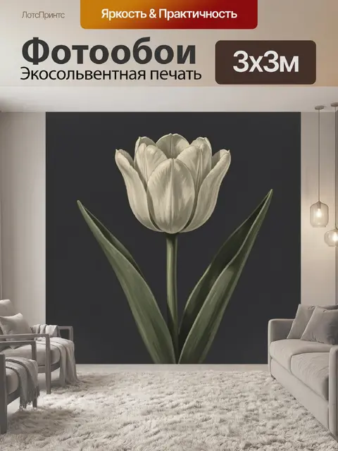 Фотообои Белый тюльпан на тёмном фоне